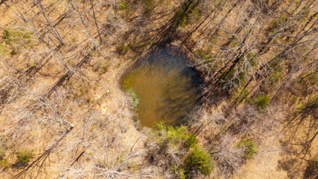 Country Homes and Acreage in the Heart of the Missouri Ozarks - image 48