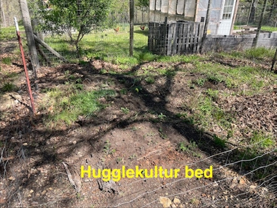 Hobbit House in the Ozark Mountains - image 40