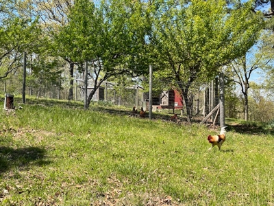 Hobbit House in the Ozark Mountains - image 41