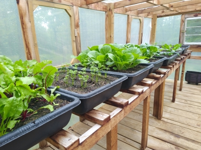 Hobbit House in the Ozark Mountains - image 39