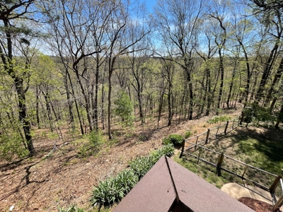 Hobbit House in the Ozark Mountains - image 50