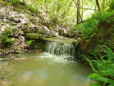 Hobbit House in the Ozark Mountains - image 45