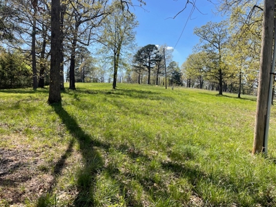 Hobbit House in the Ozark Mountains - image 42