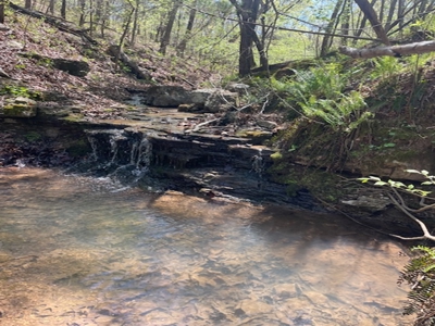 Hobbit House in the Ozark Mountains - image 46