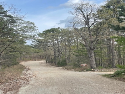 Hobbit House in the Ozark Mountains - image 27