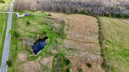 12 Acres in Perry County, Indiana – Pond, Utilities, Building - image 18