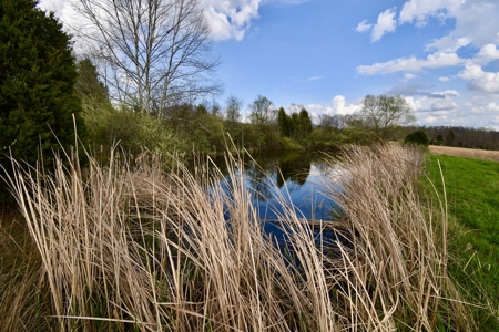 12 Acres in Perry County, Indiana – Pond, Utilities, Building - image 5