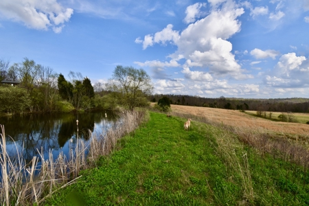 12 Acres in Perry County, Indiana – Pond, Utilities, Building - image 6