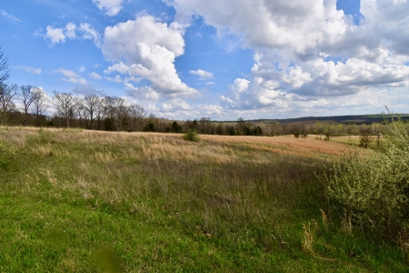 12 Acres in Perry County, Indiana – Pond, Utilities, Building - image 8