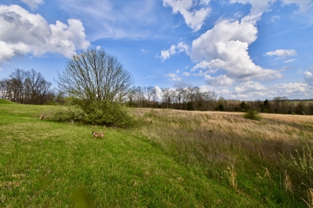 12 Acres in Perry County, Indiana – Pond, Utilities, Building - image 7