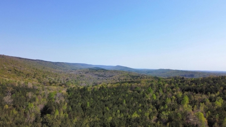 Premier Hunting Retreat For Sale in Sale Creek, Tennessee! - image 23