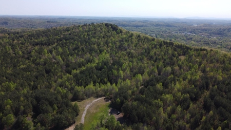Premier Hunting Retreat For Sale in Sale Creek, Tennessee! - image 30