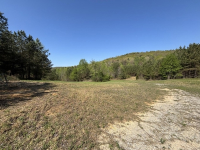 Premier Hunting Retreat For Sale in Sale Creek, Tennessee! - image 17