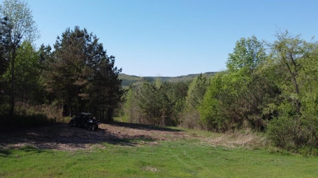 Premier Hunting Retreat For Sale in Sale Creek, Tennessee! - image 9