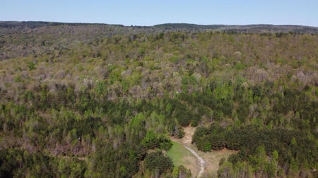 Premier Hunting Retreat For Sale in Sale Creek, Tennessee! - image 36