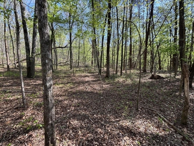 Premier Hunting Retreat For Sale in Sale Creek, Tennessee! - image 15