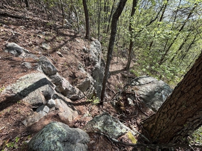 Premier Hunting Retreat For Sale in Sale Creek, Tennessee! - image 4