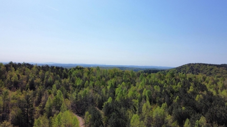 Premier Hunting Retreat For Sale in Sale Creek, Tennessee! - image 22