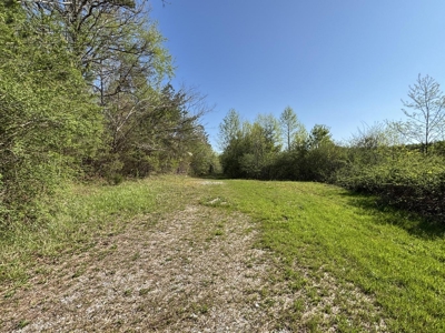 Premier Hunting Retreat For Sale in Sale Creek, Tennessee! - image 8