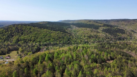 Premier Hunting Retreat For Sale in Sale Creek, Tennessee! - image 25