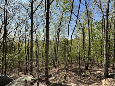 Premier Hunting Retreat For Sale in Sale Creek, Tennessee! - image 1