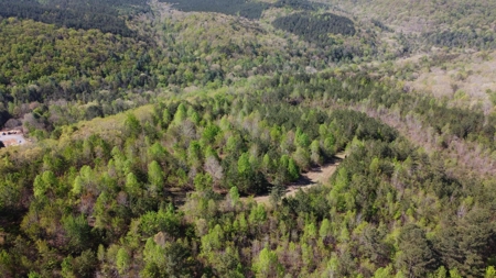 Premier Hunting Retreat For Sale in Sale Creek, Tennessee! - image 34