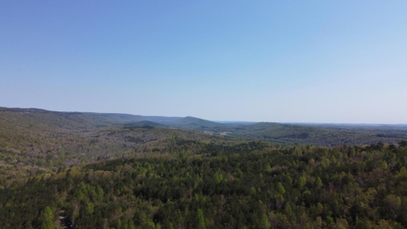 Premier Hunting Retreat For Sale in Sale Creek, Tennessee! - image 37