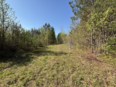 Premier Hunting Retreat For Sale in Sale Creek, Tennessee! - image 7