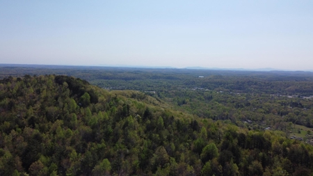 Premier Hunting Retreat For Sale in Sale Creek, Tennessee! - image 38