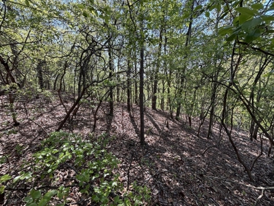 Premier Hunting Retreat For Sale in Sale Creek, Tennessee! - image 5