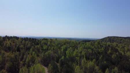 Premier Hunting Retreat For Sale in Sale Creek, Tennessee! - image 13