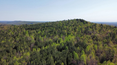 Premier Hunting Retreat For Sale in Sale Creek, Tennessee! - image 21