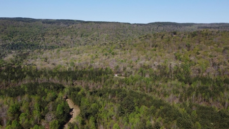 Premier Hunting Retreat For Sale in Sale Creek, Tennessee! - image 32
