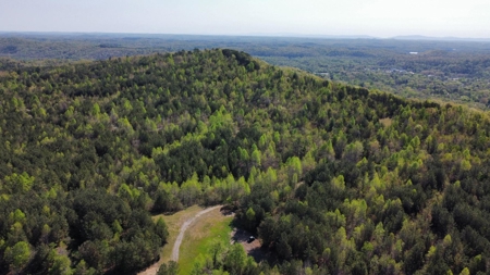 Premier Hunting Retreat For Sale in Sale Creek, Tennessee! - image 28