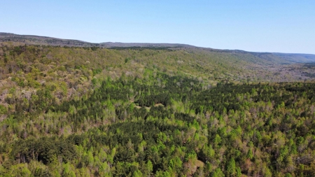 Premier Hunting Retreat For Sale in Sale Creek, Tennessee! - image 27