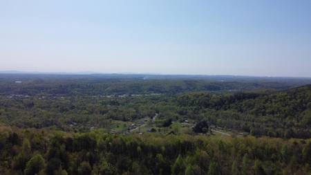 Premier Hunting Retreat For Sale in Sale Creek, Tennessee! - image 11