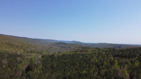 Premier Hunting Retreat For Sale in Sale Creek, Tennessee! - image 12