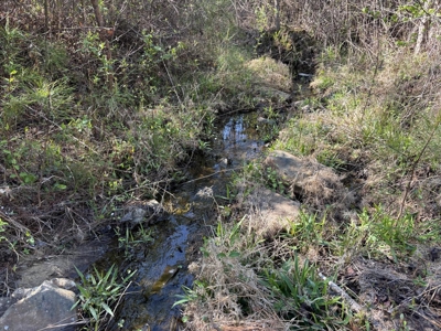 Premier Hunting Retreat For Sale in Sale Creek, Tennessee! - image 6