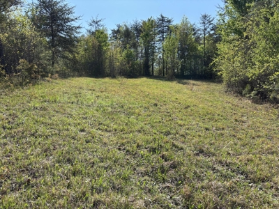 Premier Hunting Retreat For Sale in Sale Creek, Tennessee! - image 19