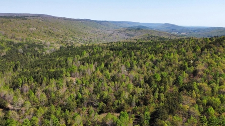 Premier Hunting Retreat For Sale in Sale Creek, Tennessee! - image 26