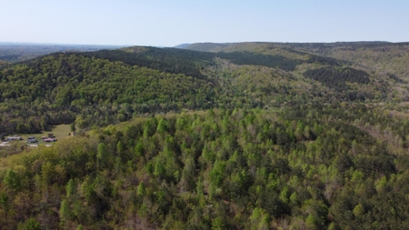 Premier Hunting Retreat For Sale in Sale Creek, Tennessee! - image 35