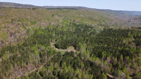 Premier Hunting Retreat For Sale in Sale Creek, Tennessee! - image 31