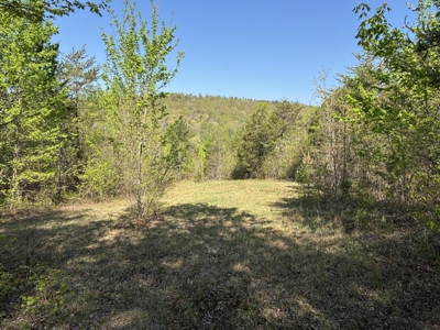 Premier Hunting Retreat For Sale in Sale Creek, Tennessee! - image 20