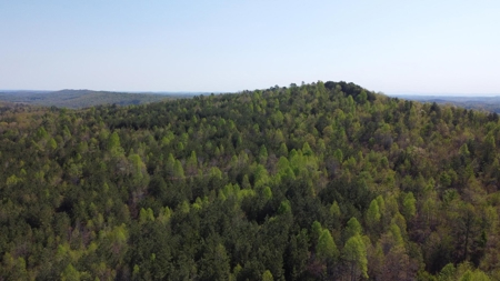 Premier Hunting Retreat For Sale in Sale Creek, Tennessee! - image 29