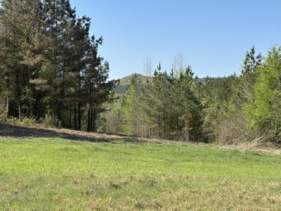 Premier Hunting Retreat For Sale in Sale Creek, Tennessee! - image 10