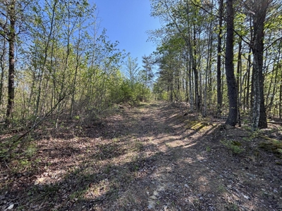 Premier Hunting Retreat For Sale in Sale Creek, Tennessee! - image 18