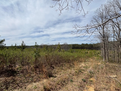 Secluded 7.5± Acres For Sale Near Savage Gulf State Park - image 9