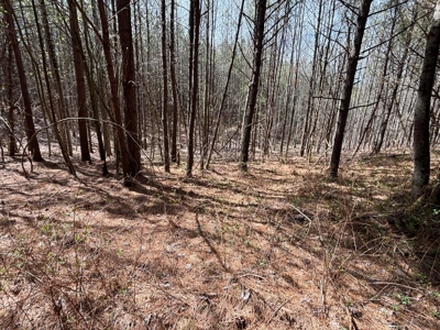 Secluded 7.5± Acres For Sale Near Savage Gulf State Park - image 14
