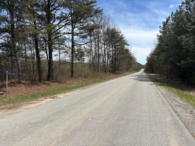 Secluded 7.5± Acres For Sale Near Savage Gulf State Park - image 6