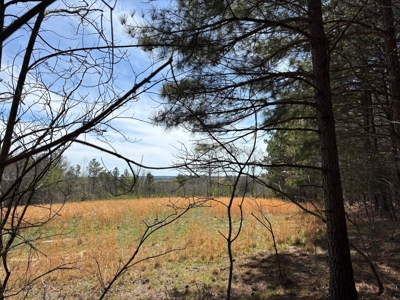 Secluded 7.5± Acres For Sale Near Savage Gulf State Park - image 1